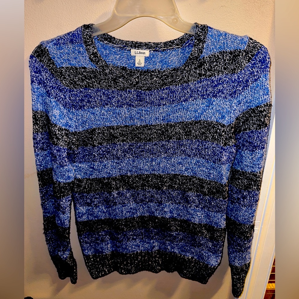 L.L. Bean sweater (women’s size S)